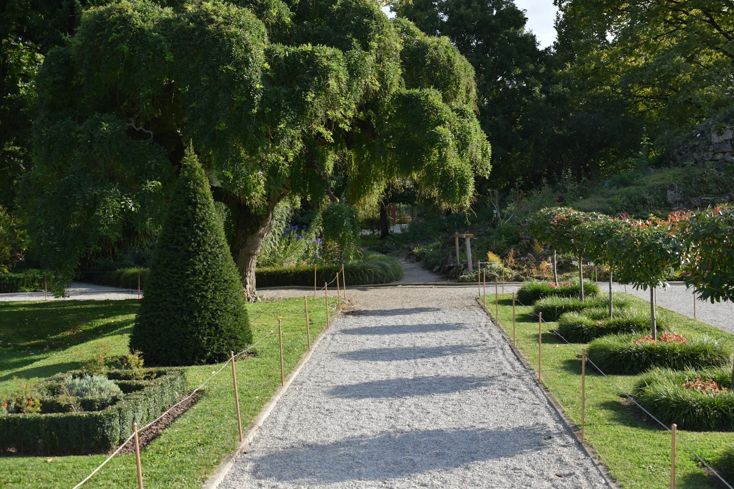 A gravel path winds through a neatly manicured garden landscape.